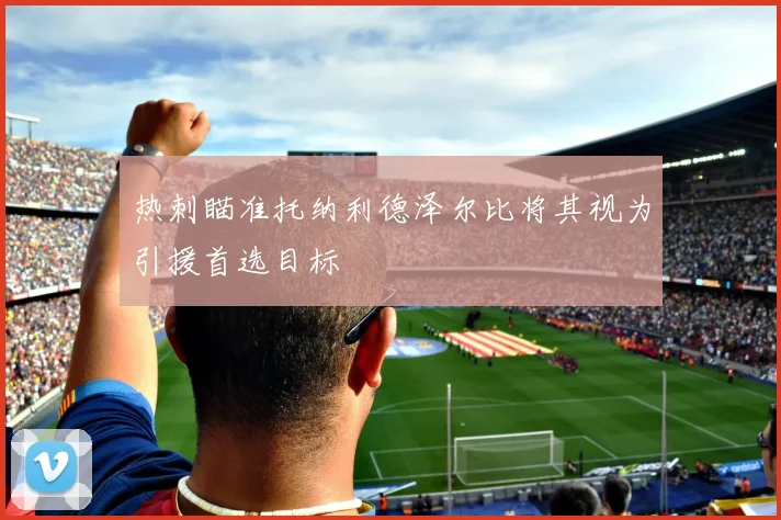 热刺瞄准托纳利德泽尔比将其视为引援首选目标