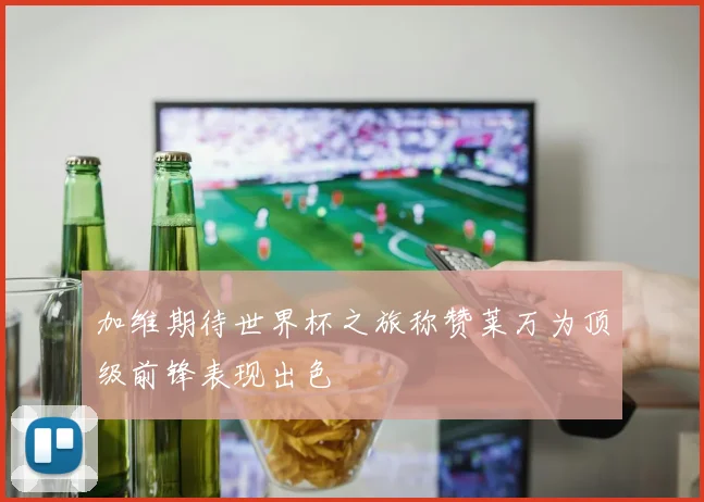 加维期待世界杯之旅称赞莱万为顶级前锋表现出色